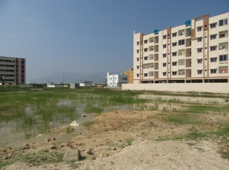1) 400 Anakanams Plot for Sale Near Tiruchanoor Flyover.JPG